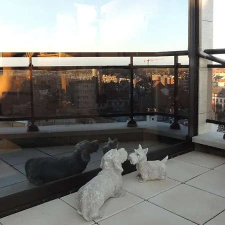 Luxe Vakantie Katandra Met Groot Overdekt Zonneterras Blankenberge