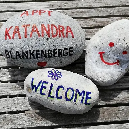 Luxe Vakantie Katandra Met Groot Overdekt Zonneterras *